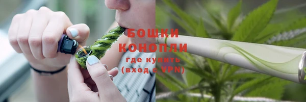 прущие крисы Зеленокумск