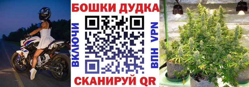 Шишки марихуана SATIVA & INDICA  ОМГ ОМГ ссылки  Копейск 